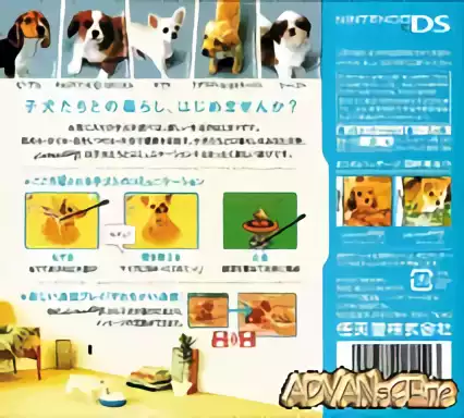 Image n° 2 - boxback : Nintendogs - Chihuahua & Friends